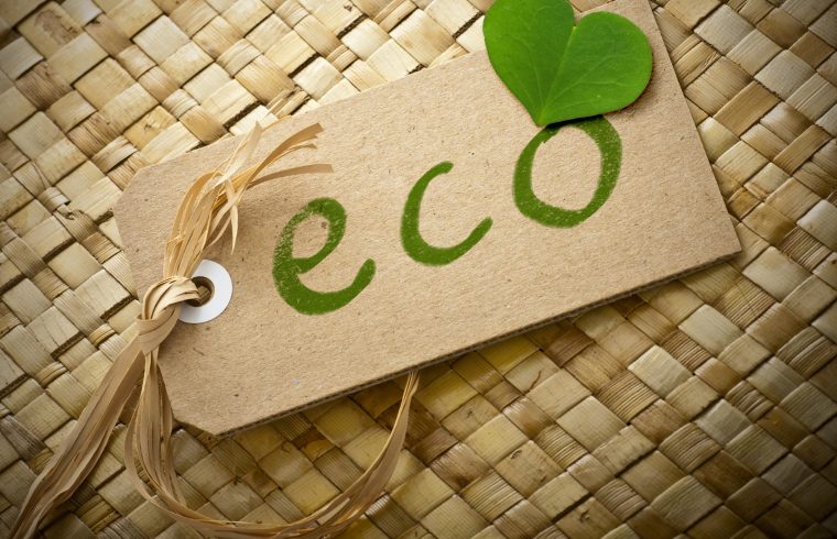 eco friendly logo