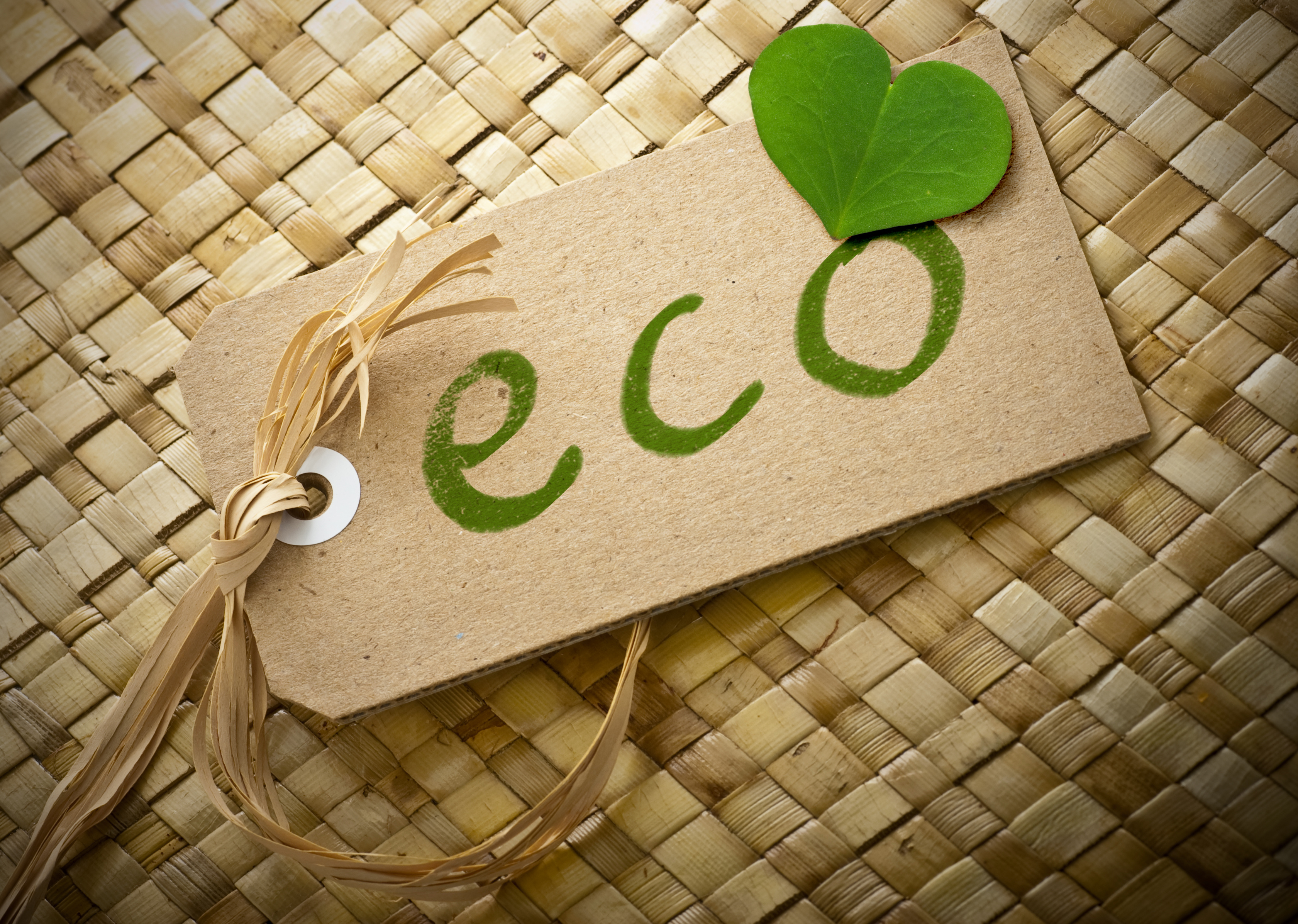 eco friendly logo