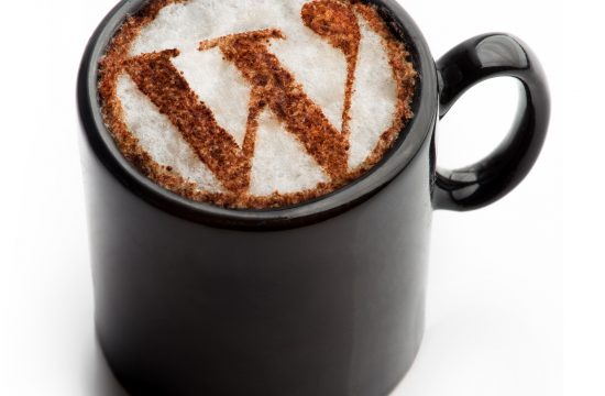 slowing down your wordpress site