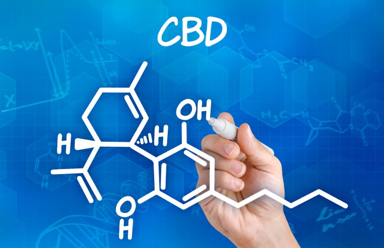 cbd logo